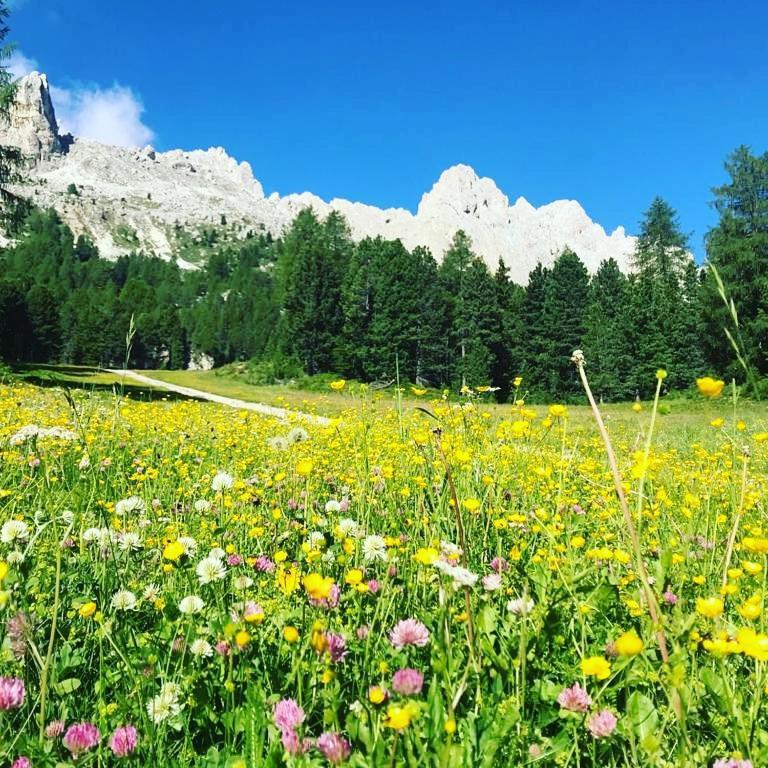 Apartmán Mountain Alleghe Exteriér fotografie