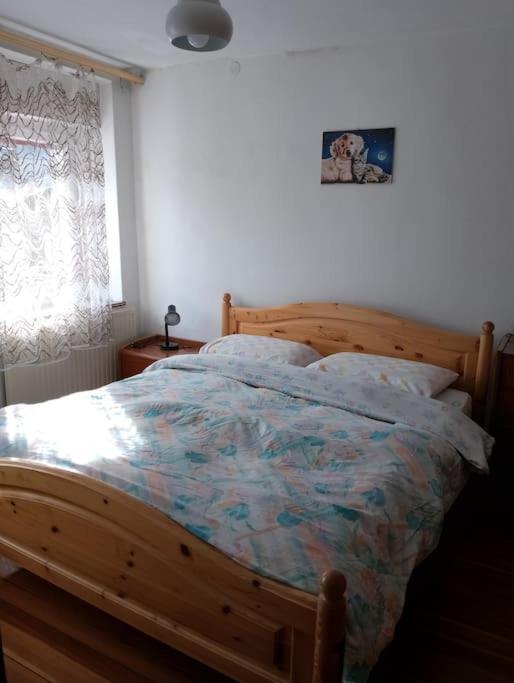 Apartmán Mountain Alleghe Exteriér fotografie