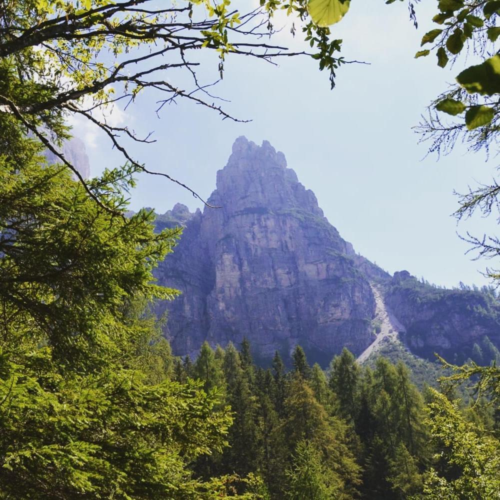Apartmán Mountain Alleghe Pokoj fotografie