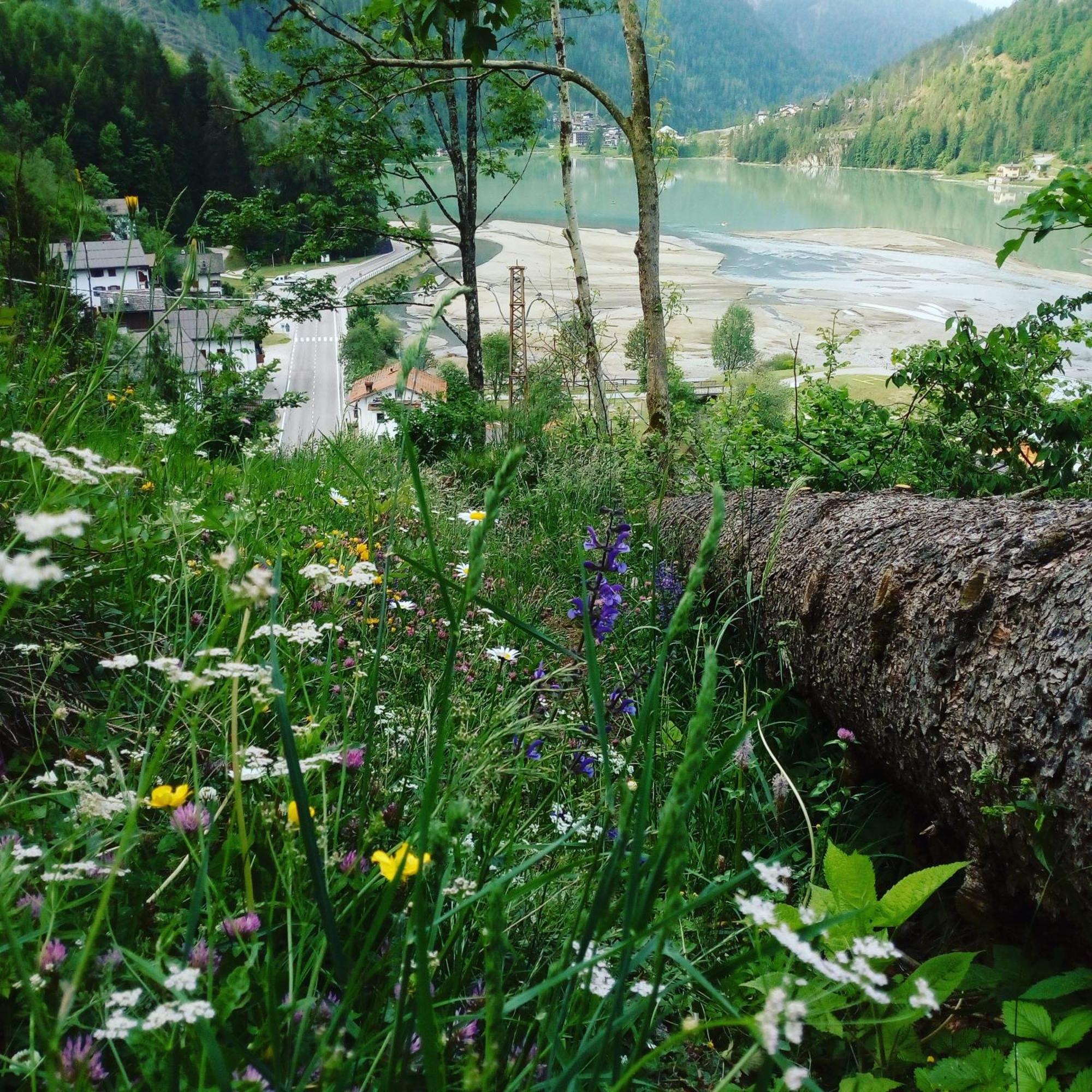 Apartmán Mountain Alleghe Pokoj fotografie